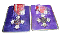赤十字メダル